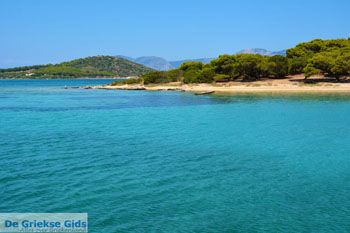 Petali Evia Eilanden | Marmari Evia | Foto 38 - Foto van https://www.grieksegids.nl/fotos/zuid-evia/normaal/zuid-evia-157.jpg