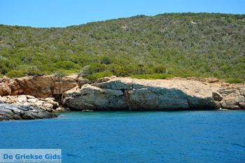 Petali Evia Eilanden | Marmari Evia | Foto 42 - Foto van https://www.grieksegids.nl/fotos/zuid-evia/normaal/zuid-evia-161.jpg