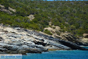 Petali Evia Eilanden | Marmari Evia | Foto 46 - Foto van https://www.grieksegids.nl/fotos/zuid-evia/normaal/zuid-evia-165.jpg