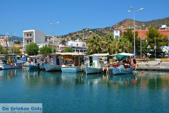 Marmari Evia | Griekenland | Foto 40 - Foto van https://www.grieksegids.nl/fotos/zuid-evia/normaal/zuid-evia-177.jpg