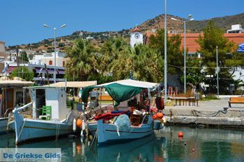 Marmari Evia | Griekenland | Foto 42 - Foto van https://www.grieksegids.nl/fotos/zuid-evia/normaal/zuid-evia-179.jpg