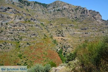 Aghios Dimitrios Evia | Griekenland | foto 5 - Foto van https://www.grieksegids.nl/fotos/zuid-evia/normaal/zuid-evia-202.jpg