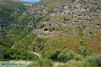 Aghios Dimitrios Evia | Griekenland | foto 6 - Foto van https://www.grieksegids.nl/fotos/zuid-evia/normaal/zuid-evia-203.jpg