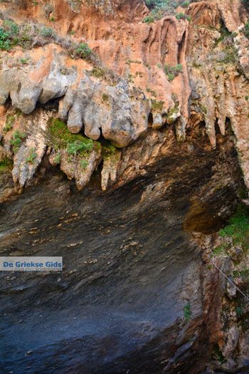 Aghios Dimitrios Evia | Griekenland | foto 61 - Foto van https://www.grieksegids.nl/fotos/zuid-evia/normaal/zuid-evia-258.jpg