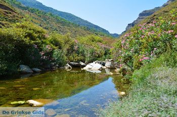 Aghios Dimitrios Evia | Griekenland | foto 70 - Foto van https://www.grieksegids.nl/fotos/zuid-evia/normaal/zuid-evia-267.jpg