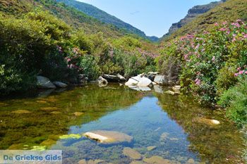 Aghios Dimitrios Evia | Griekenland | foto 71 - Foto van https://www.grieksegids.nl/fotos/zuid-evia/normaal/zuid-evia-268.jpg