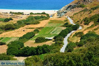 Giannitsi Evia | Griekenland | Foto 6 - Foto van https://www.grieksegids.nl/fotos/zuid-evia/normaal/zuid-evia-277.jpg