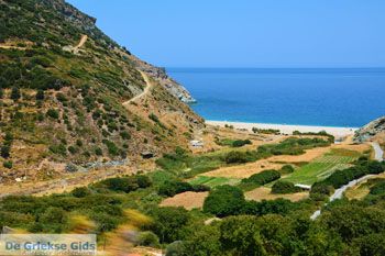 Giannitsi Evia | Griekenland | Foto 37 - Foto van https://www.grieksegids.nl/fotos/zuid-evia/normaal/zuid-evia-308.jpg