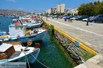 Karystos Evia | Griekenland | Foto 50 - Foto van https://www.grieksegids.nl/fotos/zuid-evia/normaal/zuid-evia-347.jpg