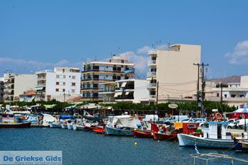 Karystos Evia | Griekenland | Foto 54 - Foto van https://www.grieksegids.nl/fotos/zuid-evia/normaal/zuid-evia-351.jpg