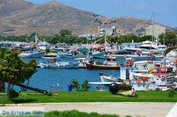 Karystos Evia | Griekenland | Foto 72 - Foto van https://www.grieksegids.nl/fotos/zuid-evia/normaal/zuid-evia-369.jpg