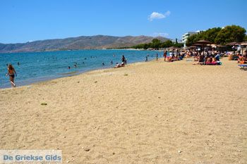 Karystos Evia | Griekenland | Foto 75 - Foto van https://www.grieksegids.nl/fotos/zuid-evia/normaal/zuid-evia-372.jpg