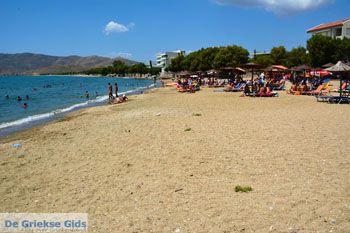 Karystos Evia | Griekenland | Foto 80 - Foto van https://www.grieksegids.nl/fotos/zuid-evia/normaal/zuid-evia-377.jpg