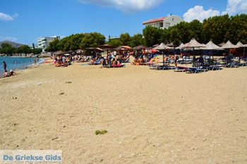 Karystos Evia | Griekenland | Foto 81 - Foto van https://www.grieksegids.nl/fotos/zuid-evia/normaal/zuid-evia-378.jpg