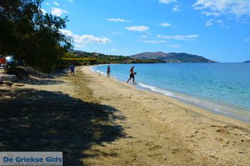 Strand Kokkini | Marmari Evia | Griekenland foto 7 - Foto van https://www.grieksegids.nl/fotos/zuid-evia/normaal/zuid-evia-399.jpg