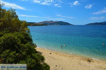 Strand Kokkini | Marmari Evia | Griekenland foto 20 - Foto van https://www.grieksegids.nl/fotos/zuid-evia/normaal/zuid-evia-420.jpg