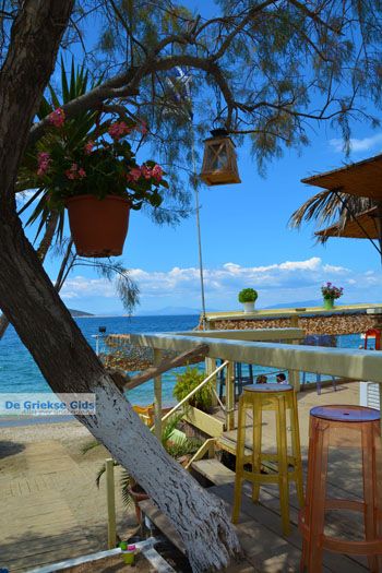 Strand Kokkini | Marmari Evia | Griekenland foto 35 - Foto van https://www.grieksegids.nl/fotos/zuid-evia/normaal/zuid-evia-438.jpg