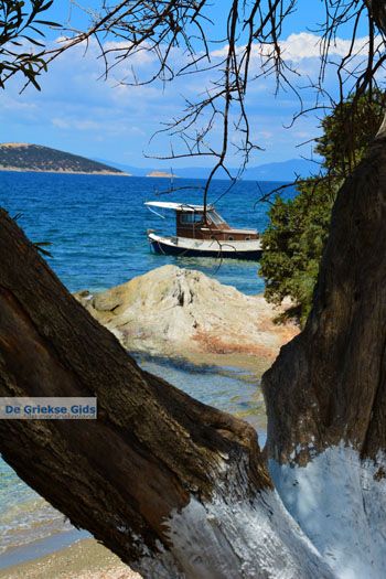 Strand Kavos | Marmari Evia | Griekenland foto 7 - Foto van https://www.grieksegids.nl/fotos/zuid-evia/normaal/zuid-evia-449.jpg
