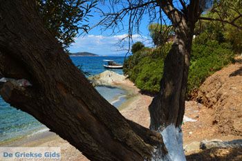Strand Kavos | Marmari Evia | Griekenland foto 9 - Foto van https://www.grieksegids.nl/fotos/zuid-evia/normaal/zuid-evia-451.jpg
