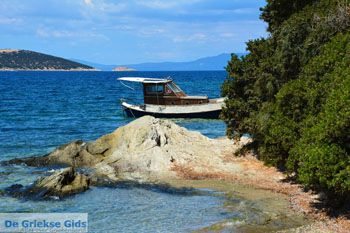 Strand Kavos | Marmari Evia | Griekenland foto 10 - Foto van https://www.grieksegids.nl/fotos/zuid-evia/normaal/zuid-evia-452.jpg