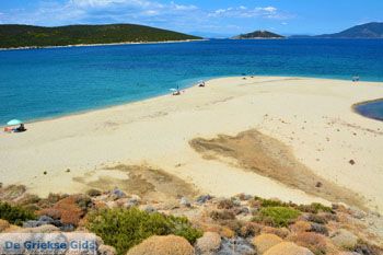Bij Golden beach Evia | Marmari Evia | Griekenland foto 32 - Foto van https://www.grieksegids.nl/fotos/zuid-evia/normaal/zuid-evia-473.jpg