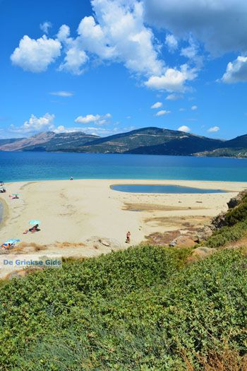 Bij Golden beach Evia | Marmari Evia | Griekenland foto 42 - Foto van https://www.grieksegids.nl/fotos/zuid-evia/normaal/zuid-evia-483.jpg