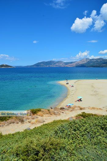 Bij Golden beach Evia | Marmari Evia | Griekenland foto 44 - Foto van https://www.grieksegids.nl/fotos/zuid-evia/normaal/zuid-evia-485.jpg