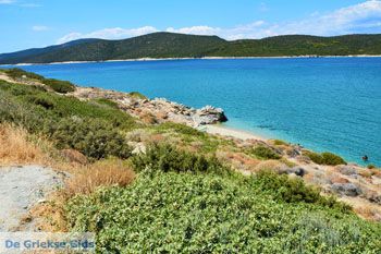 Bij Golden beach Evia | Marmari Evia | Griekenland foto 48 - Foto van https://www.grieksegids.nl/fotos/zuid-evia/normaal/zuid-evia-489.jpg