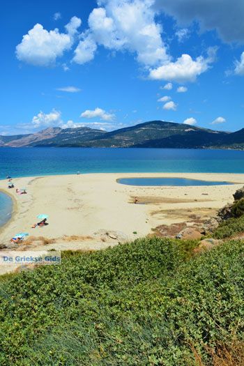 Bij Golden beach Evia | Marmari Evia | Griekenland foto 50 - Foto van https://www.grieksegids.nl/fotos/zuid-evia/normaal/zuid-evia-491.jpg