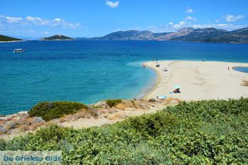 Bij Golden beach Evia | Marmari Evia | Griekenland foto 56 - Foto van https://www.grieksegids.nl/fotos/zuid-evia/normaal/zuid-evia-497.jpg