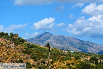 Berg Ochi | Zuid Evia | Griekenland foto 1 - Foto van https://www.grieksegids.nl/fotos/zuid-evia/normaal/zuid-evia-515.jpg