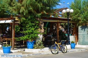 Marmari Evia | Griekenland | Foto 73 - Foto van https://www.grieksegids.nl/fotos/zuid-evia/normaal/zuid-evia-583.jpg