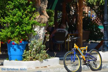 Marmari Evia | Griekenland | Foto 74 - Foto van https://www.grieksegids.nl/fotos/zuid-evia/normaal/zuid-evia-584.jpg