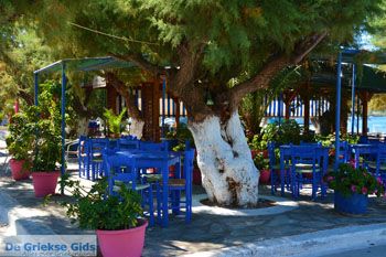 Marmari Evia | Griekenland | Foto 80 - Foto van https://www.grieksegids.nl/fotos/zuid-evia/normaal/zuid-evia-590.jpg