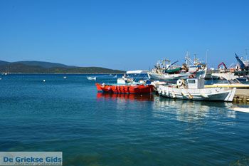 Marmari Evia | Griekenland | Foto 87 - Foto van https://www.grieksegids.nl/fotos/zuid-evia/normaal/zuid-evia-597.jpg