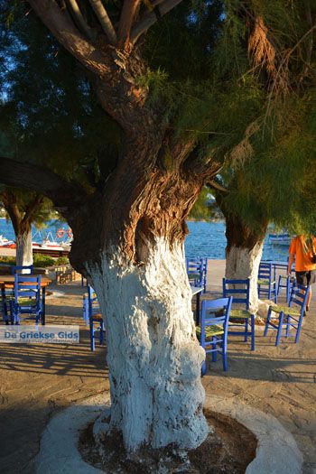 Marmari Evia | Griekenland | Foto 100 - Foto van https://www.grieksegids.nl/fotos/zuid-evia/normaal/zuid-evia-610.jpg