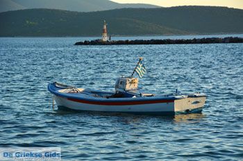 Marmari Evia | Griekenland | Foto 102 - Foto van https://www.grieksegids.nl/fotos/zuid-evia/normaal/zuid-evia-612.jpg