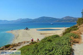 Bij Golden beach Evia | Marmari Evia | Griekenland foto 84 - Foto van https://www.grieksegids.nl/fotos/zuid-evia/normaal/zuid-evia-642.jpg