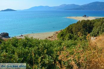 Bij Golden beach Evia | Marmari Evia | Griekenland foto 126 - Foto van https://www.grieksegids.nl/fotos/zuid-evia/normaal/zuid-evia-684.jpg