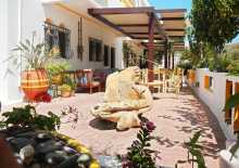 Foto  Aris in Paleochora ( Chania Kreta)