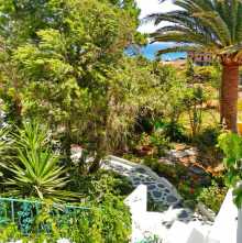 Foto  Aris in Paleochora ( Chania Kreta)