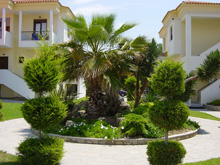 Foto  Athena Pallas Village in Elia beach ( Chalkidiki)