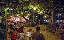 Foto Hotel Elea Beach in Dassia ( Corfu)