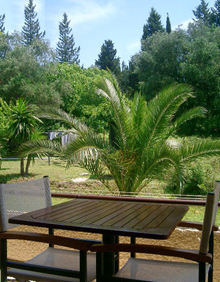 Foto Appartementen Green Corner Villas in Danillia ( Corfu)