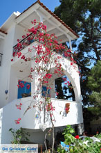 Foto  Odyssey in Poros ( Poros)