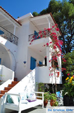 Foto  Odyssey in Poros ( Poros)